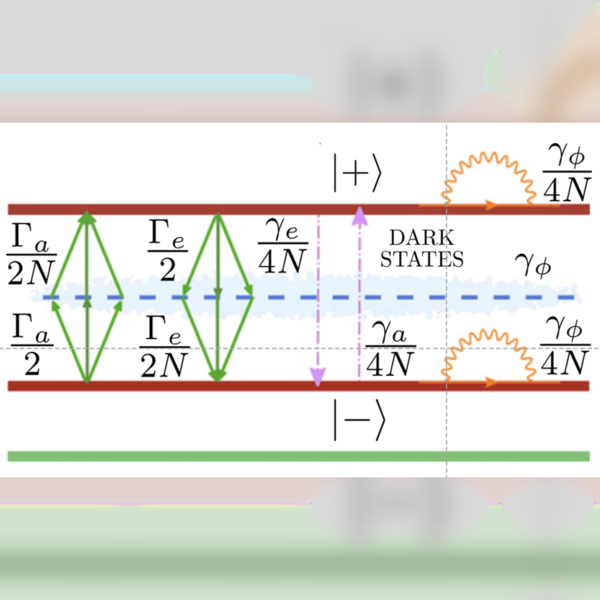 Figure from “Quantum theory of collective strong coupling of molecular vibrations with a microcavity mode”