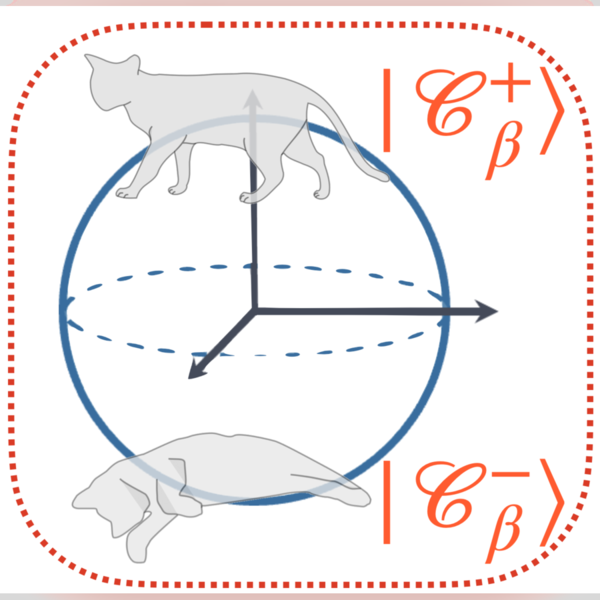 Figure from “Dynamical Gauge Fields with Bosonic Codes”