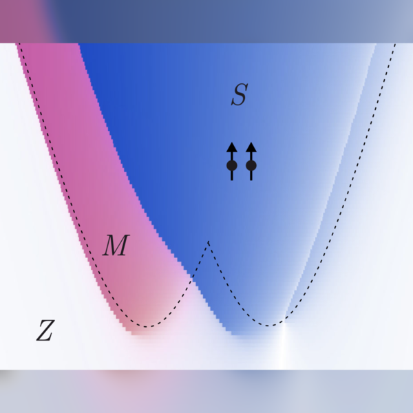 Figure from “Biased Ising Model Using Two Coupled Kerr Parametric Oscillators with External Force”