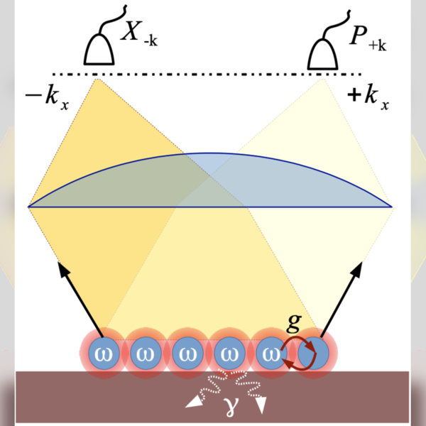 Figure from “Entanglement detection in coupled particle plasmons”